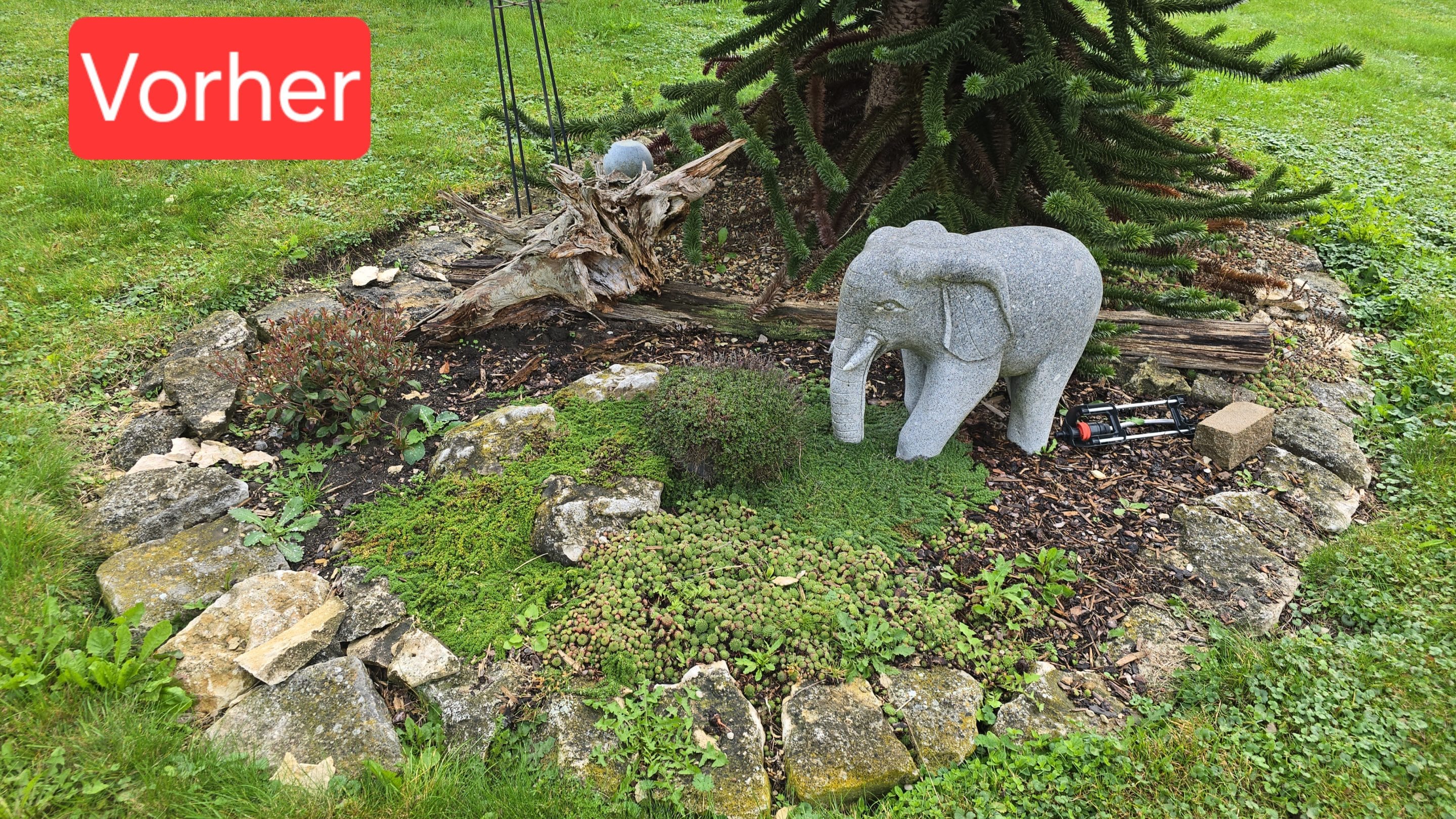 Vorher Beet-Umrandung